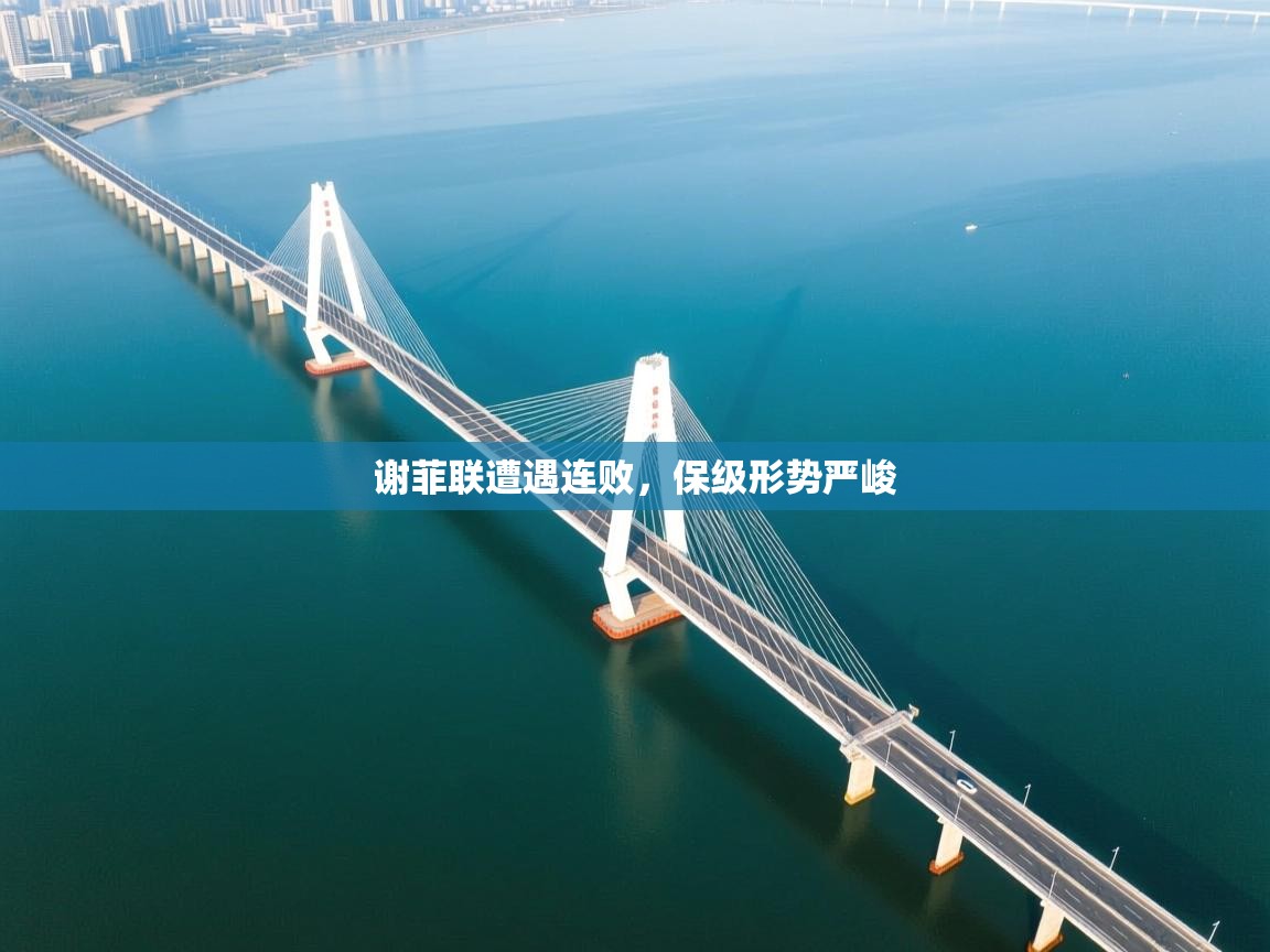 开云体育app下载安卓-谢菲联遭遇连败,保级形势严峻  第2张