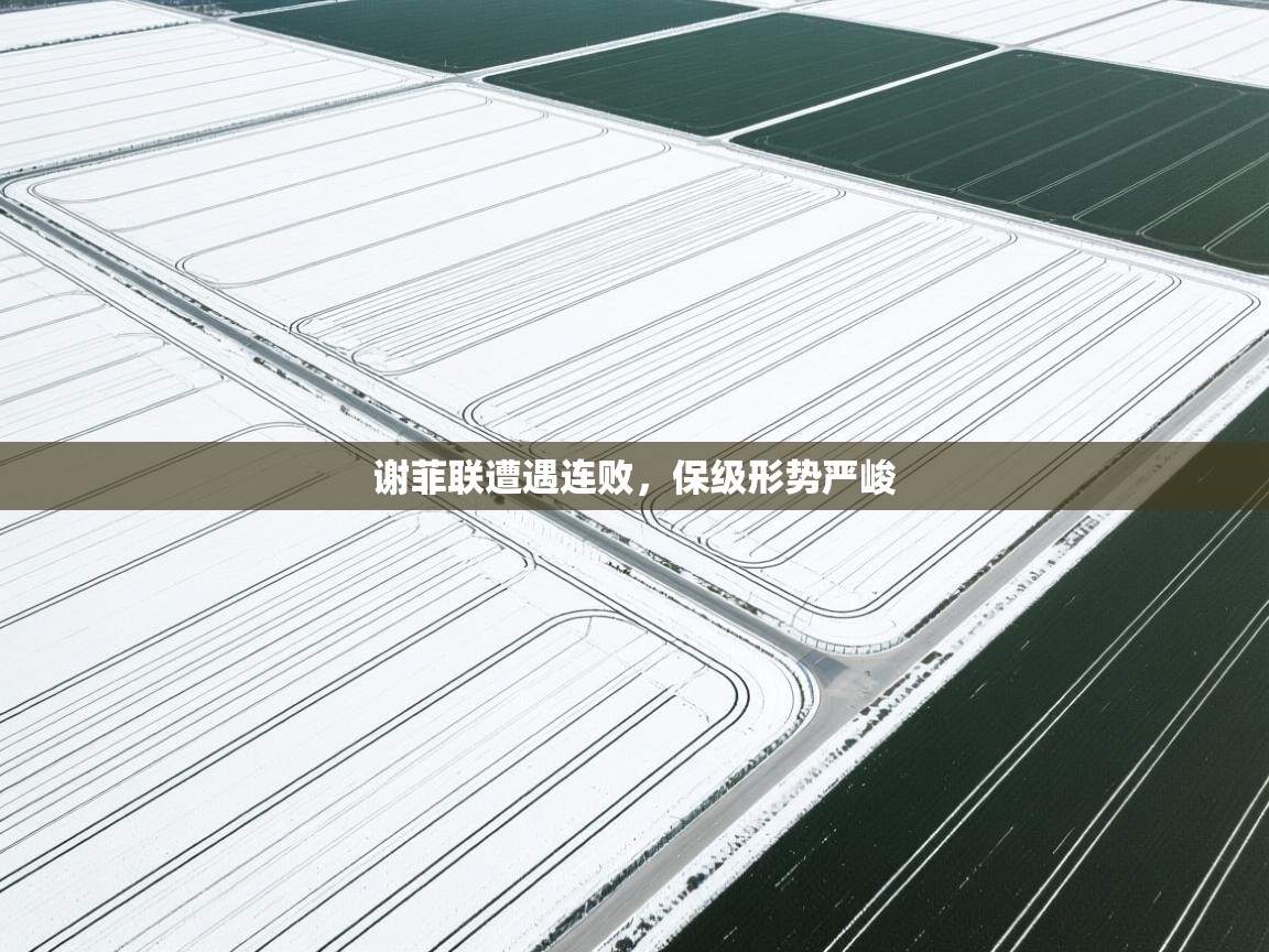开云体育app下载安卓-谢菲联遭遇连败,保级形势严峻  第4张