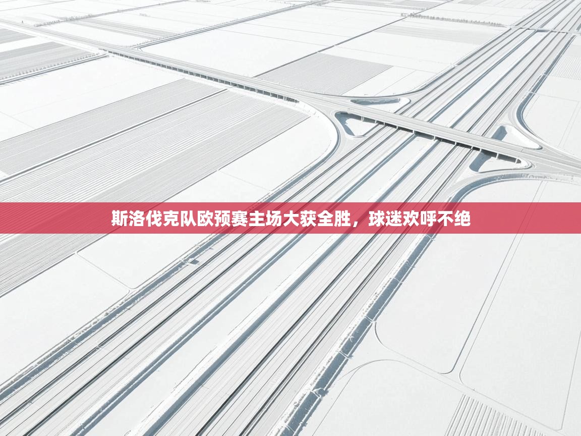 开云体育登录入口网址-斯洛伐克队欧预赛主场大获全胜,球迷欢呼不绝  第2张