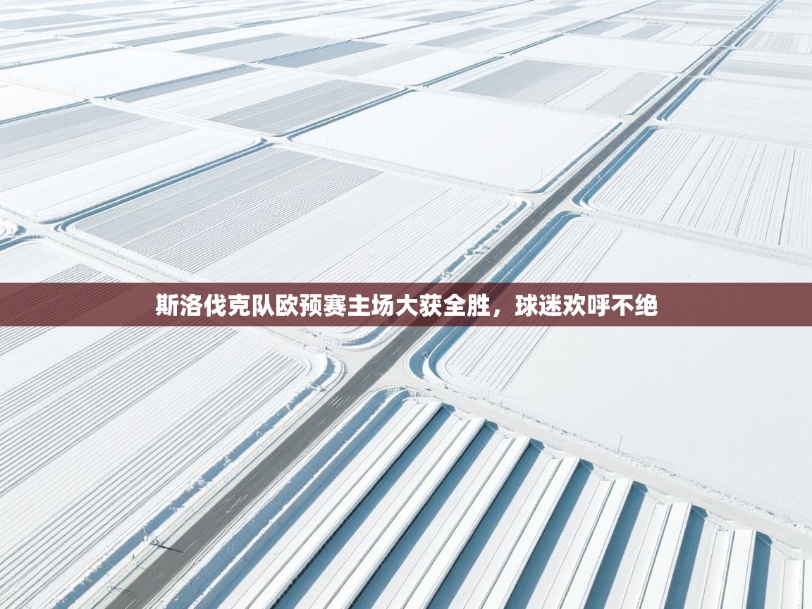 开云体育登录入口网址-斯洛伐克队欧预赛主场大获全胜,球迷欢呼不绝  第4张