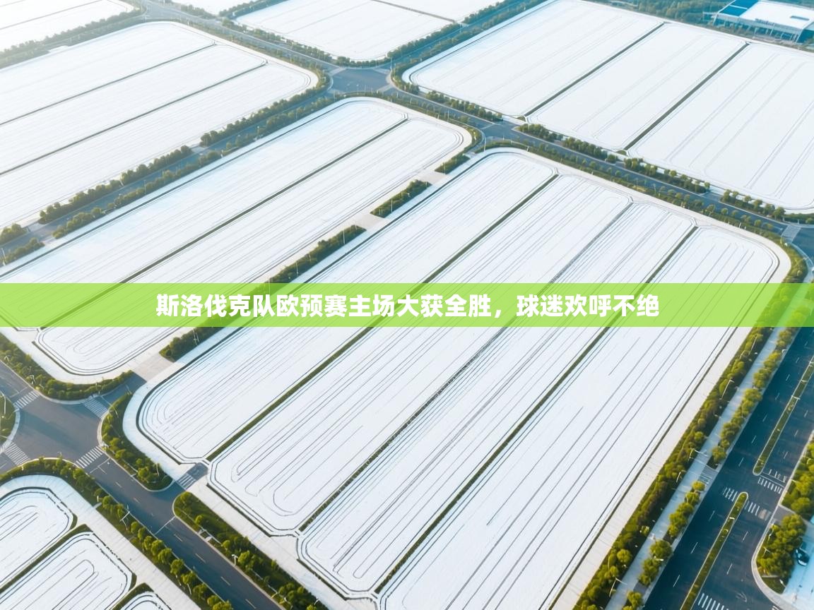 开云体育登录入口网址-斯洛伐克队欧预赛主场大获全胜,球迷欢呼不绝  第3张