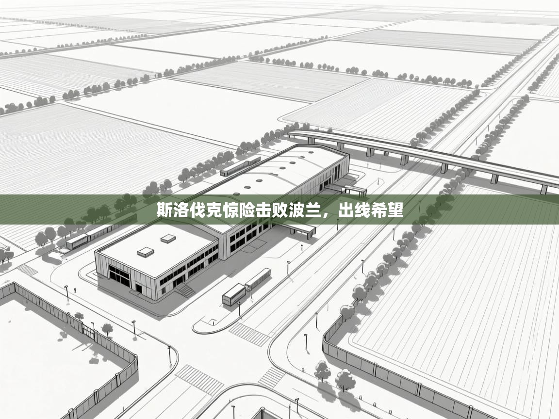 开云体育在线登录-斯洛伐克惊险击败波兰，出线希望  第2张