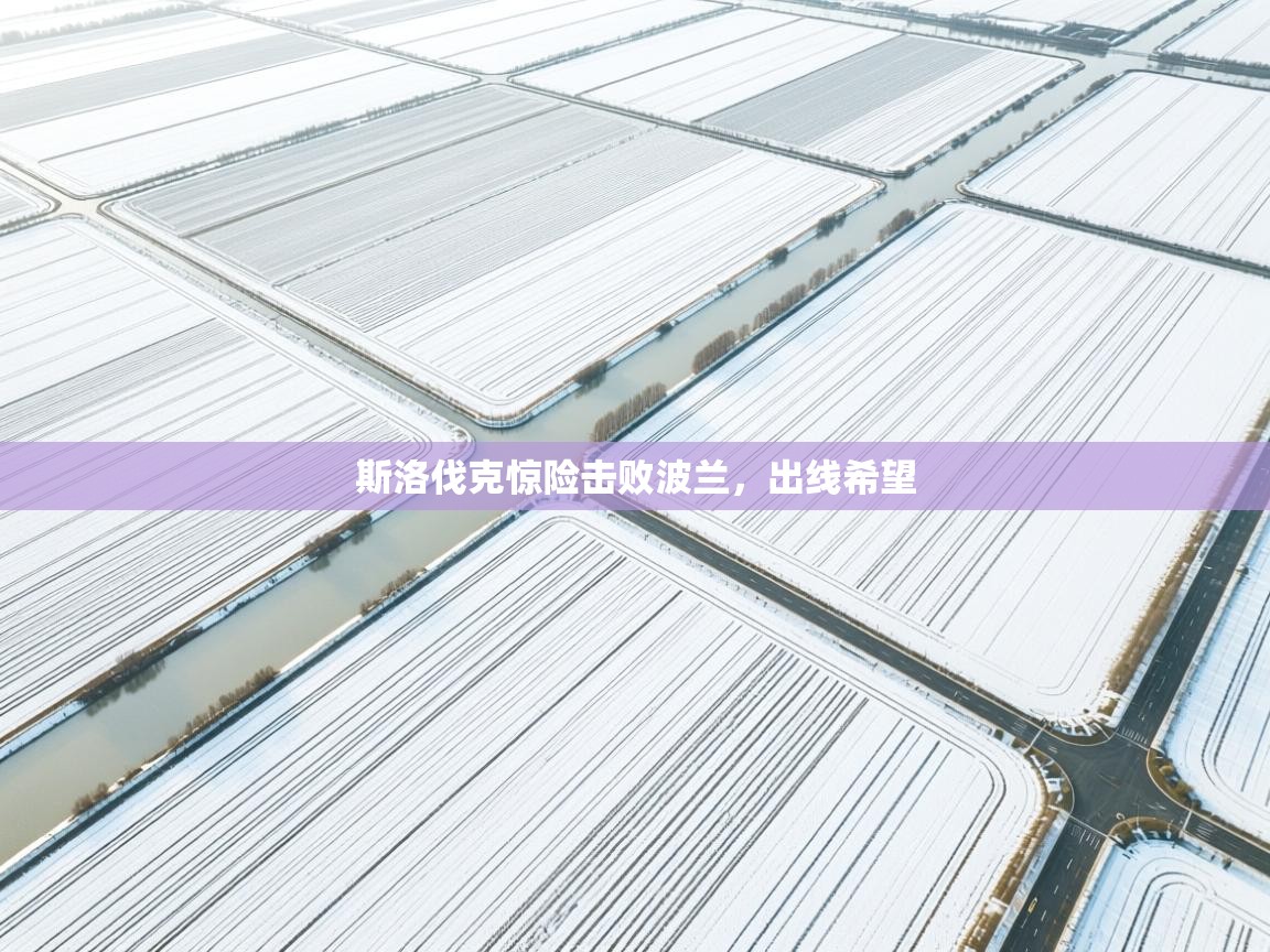 开云体育在线登录-斯洛伐克惊险击败波兰，出线希望  第3张