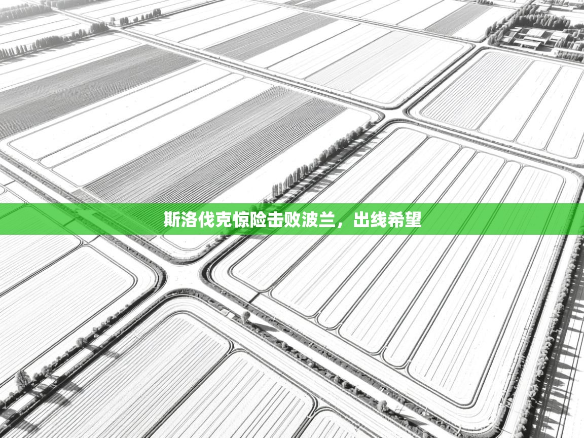 开云体育在线登录-斯洛伐克惊险击败波兰，出线希望  第4张