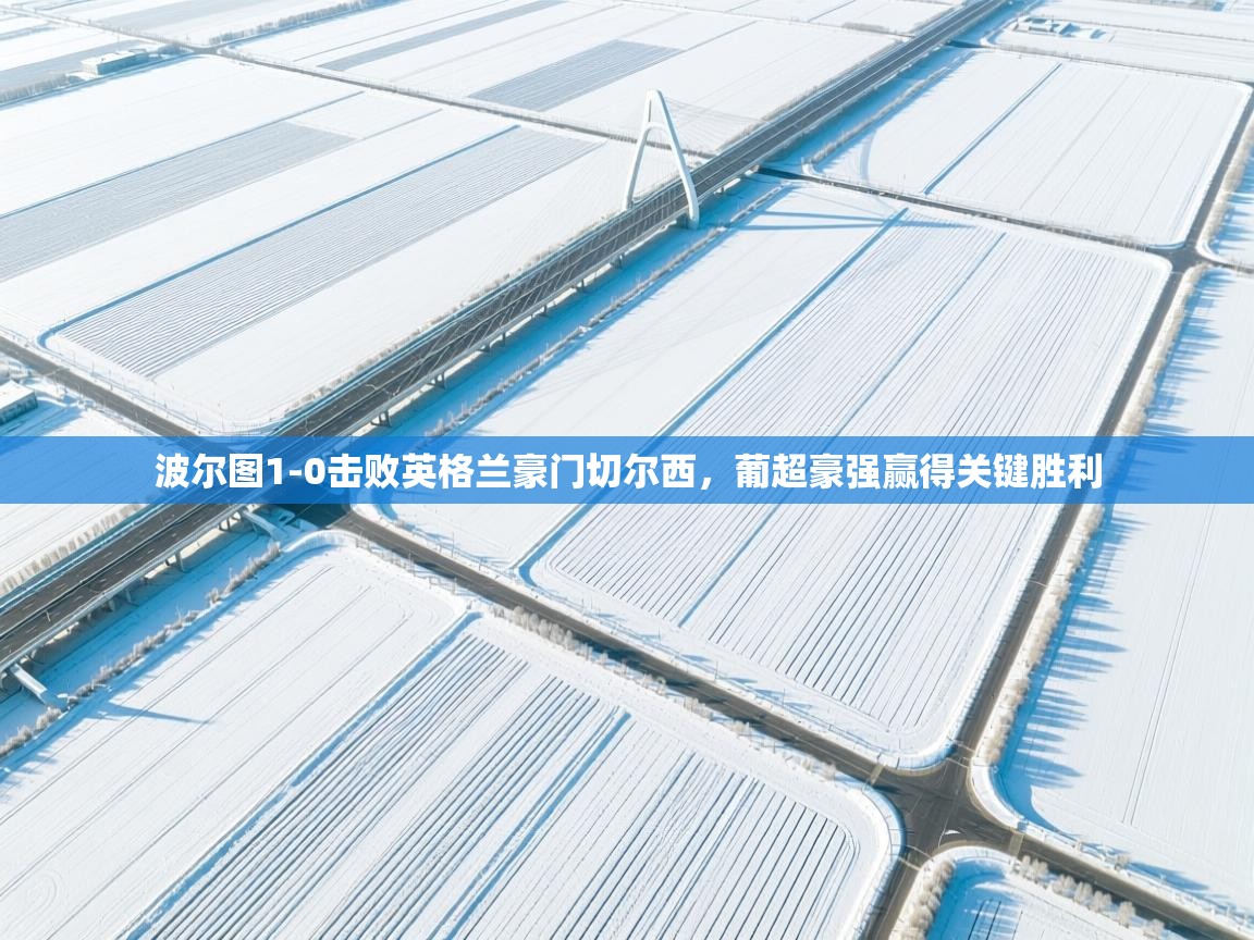 开云体育入口注册-波尔图1-0击败英格兰豪门切尔西,葡超豪强赢得关键胜利 第4张