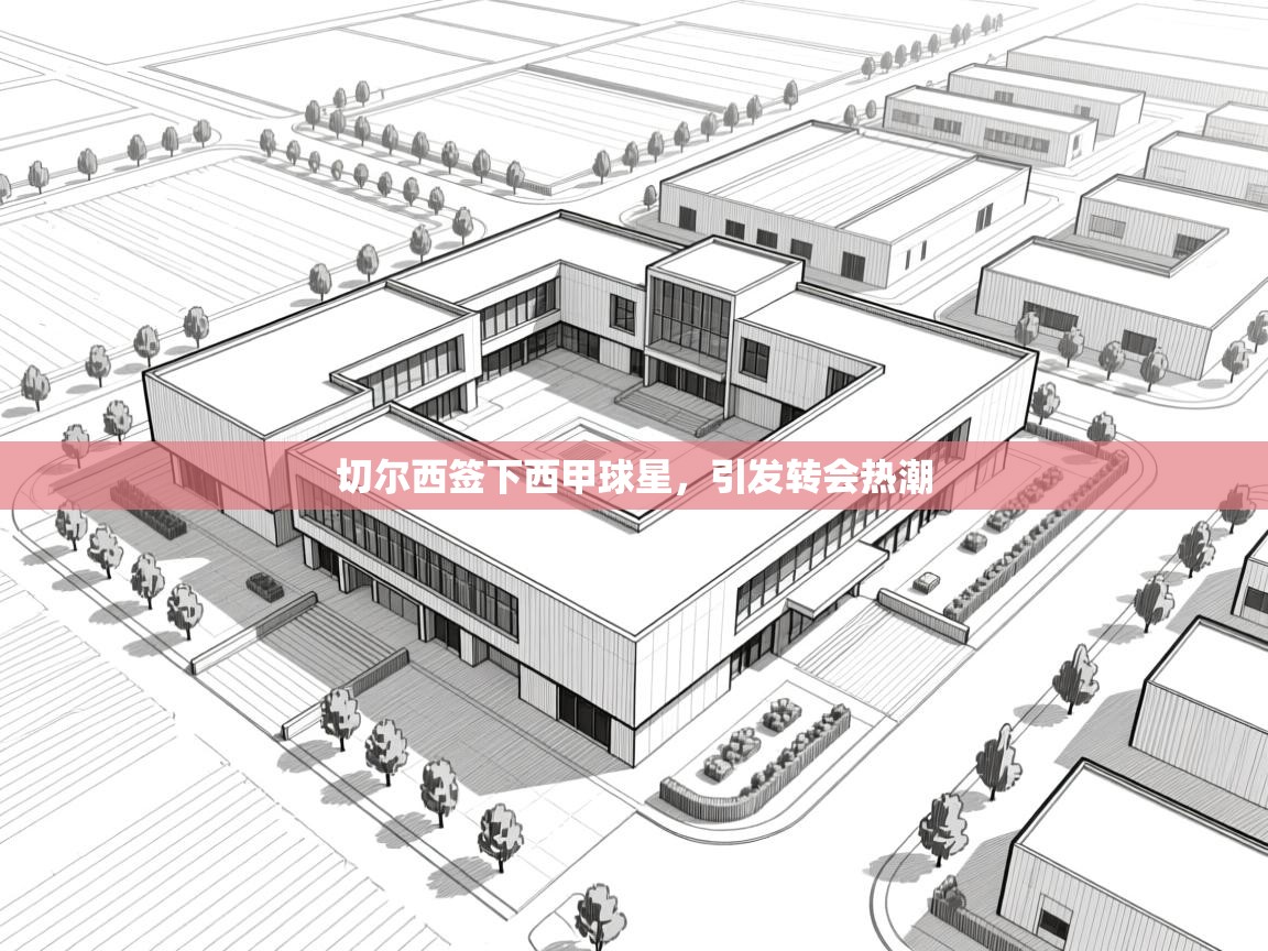 开云平台-切尔西签下西甲球星，引发转会热潮  第1张