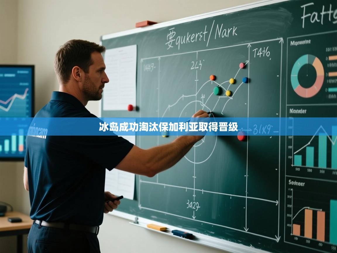 开云网页版-冰岛成功淘汰保加利亚取得晋级  第3张