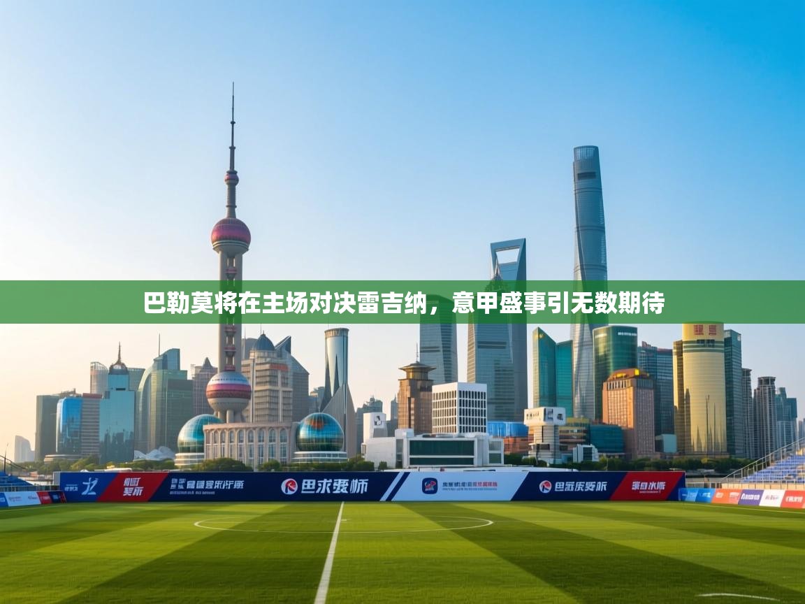 开云体育忘记密码找回-巴勒莫将在主场对决雷吉纳，意甲盛事引无数期待  第4张