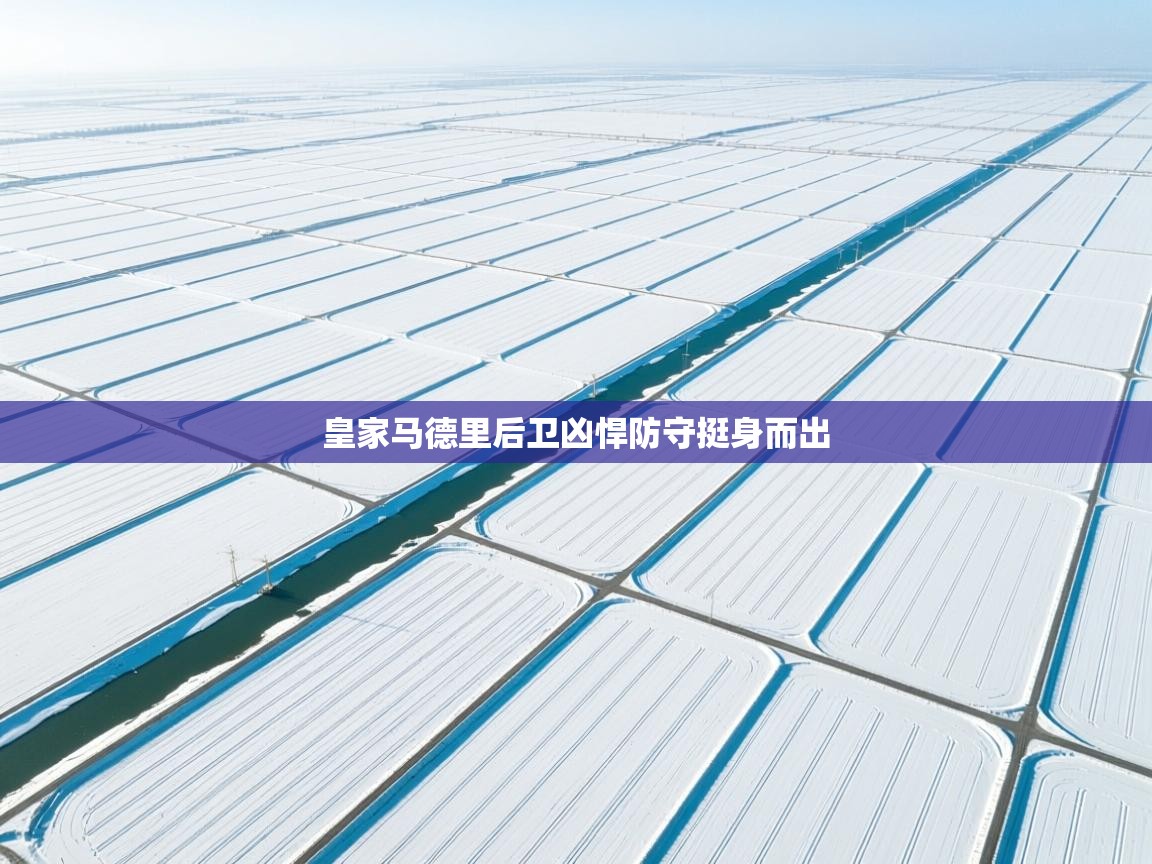 开云体育英文版入口-皇家马德里后卫凶悍防守挺身而出  第4张